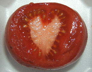 Heart Day | SMA News Today | Cross-section of a tomato, in which the core is shaped like a heart.
