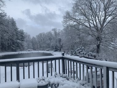 power | SMA News Today | A photo of Helen's deck and backyard, including a pond, shows everything covered in several inches of snow.
