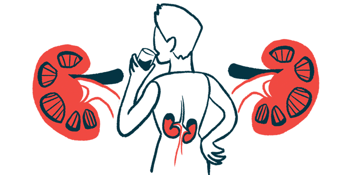 A blow-up illustration of a person's kidneys as he takes a drink